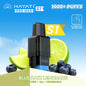 Hayati Pro Max S1 1000 Plus Prefilled Pods 2ml