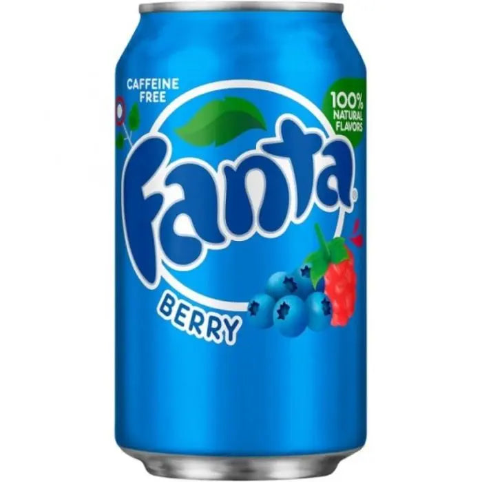 Fanta Soft Drink Can 355ml