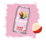 RUBICON PM 85P [24X330ML]