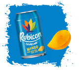 RUBICON PM 85P [24X330ML]